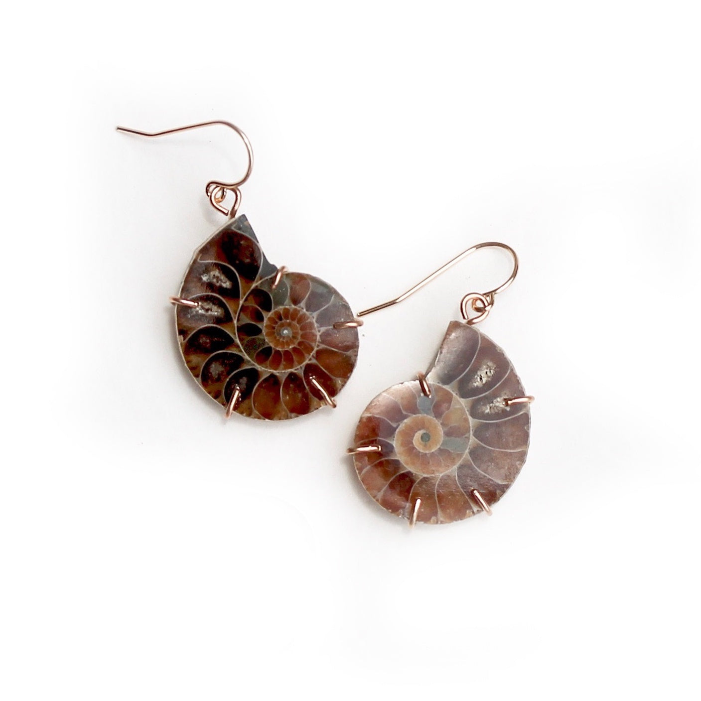 Earrings Ammonite Fossil