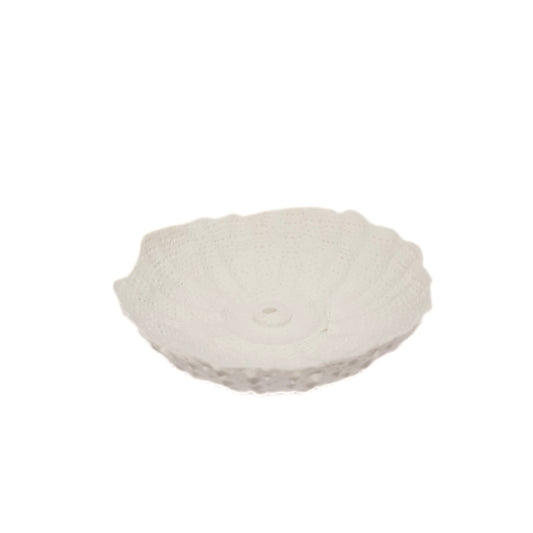 Porcelain Sea Urchin