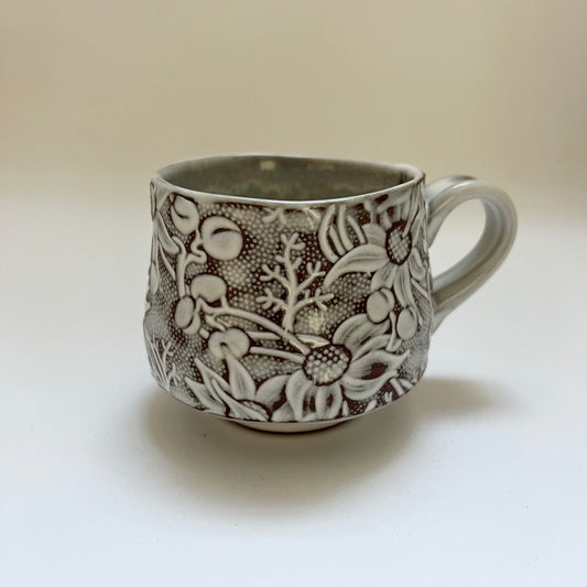 Flannel Flower Cup Heath