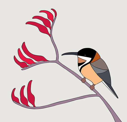 Framed Print Eastern Spinebill & Kangaroo Paw