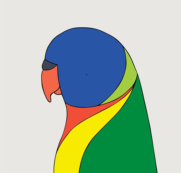 Framed Print Rainbow Lorikeet