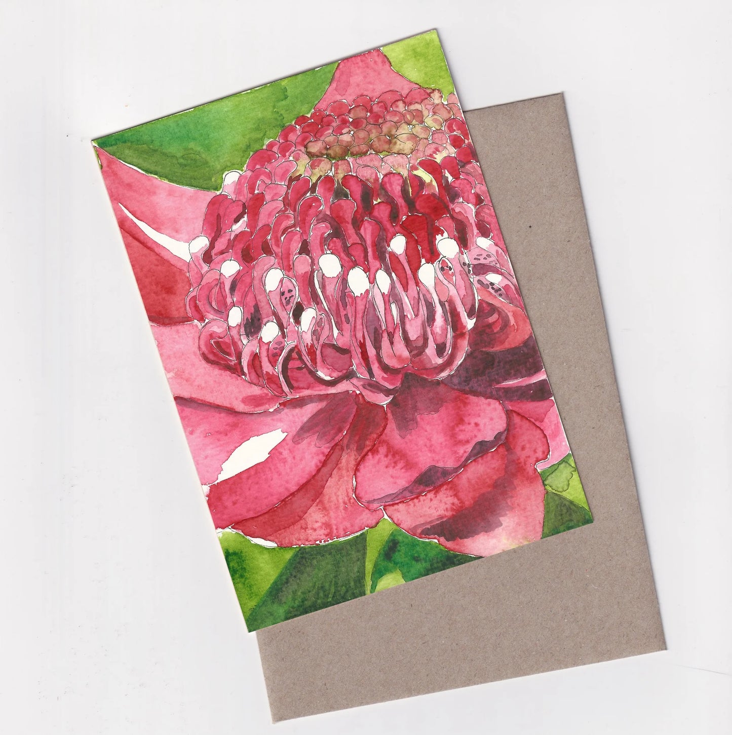 Red Waratah Greeting Card