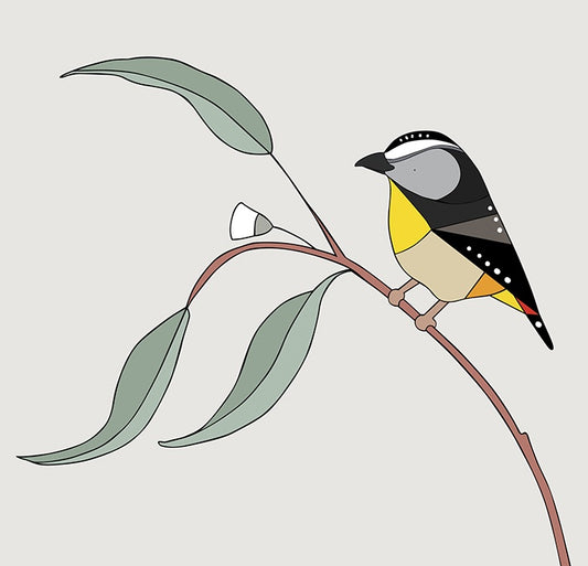Framed Print Spotted Pardalote and Eucalyptus